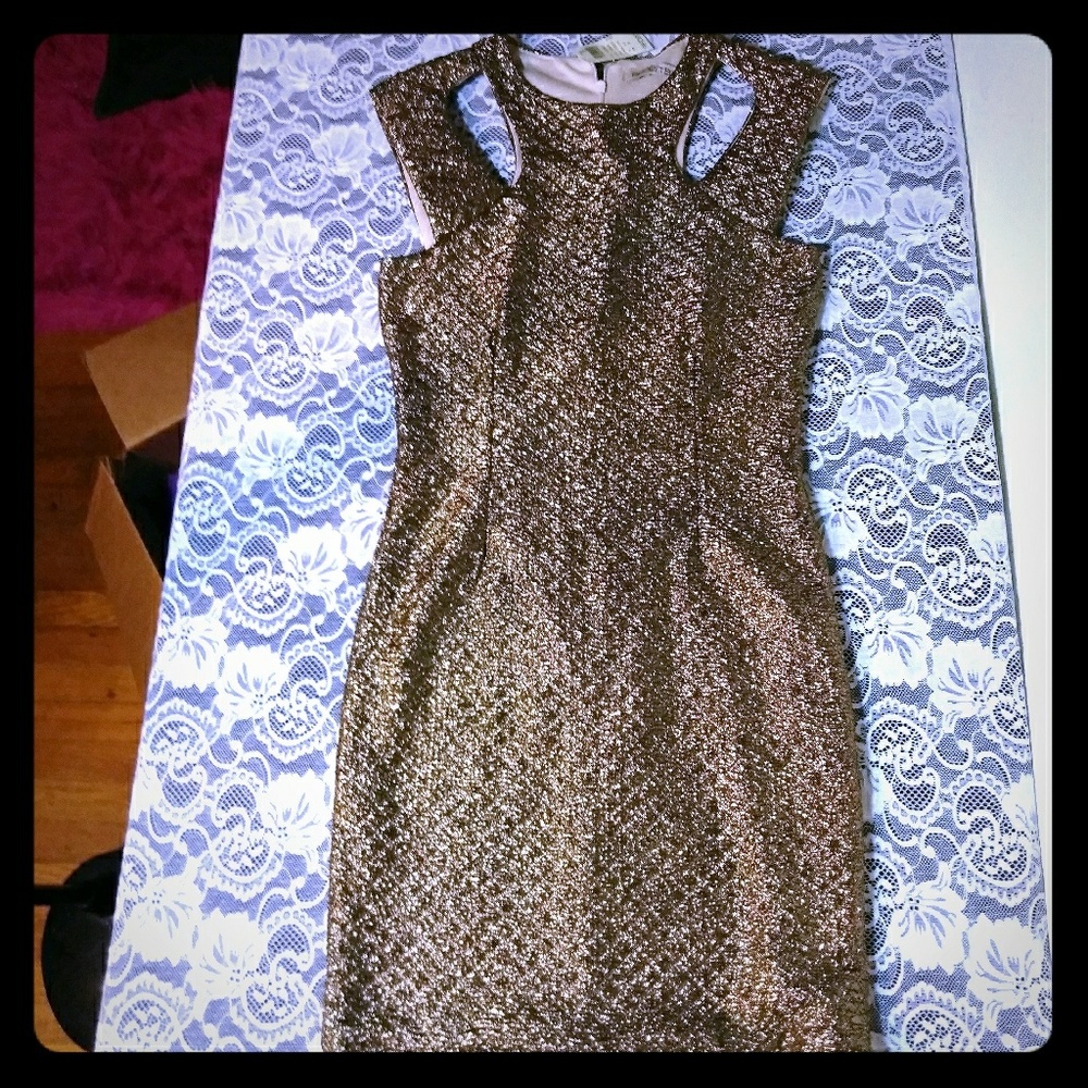 **NWT** Arden B. Gold Sparkly Dress